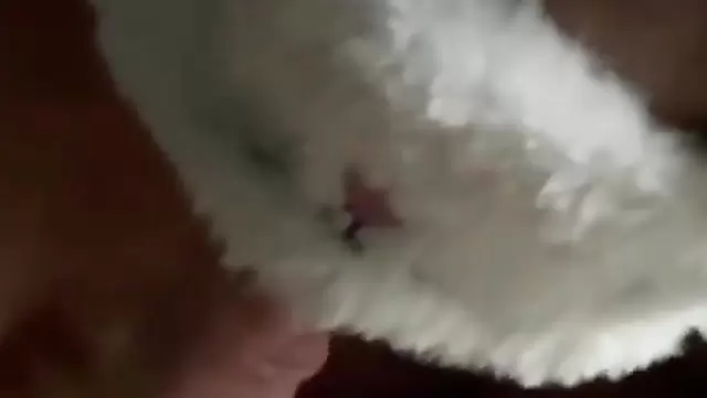 POV blowjob with a Tajik girlfriend and pussy fuck
